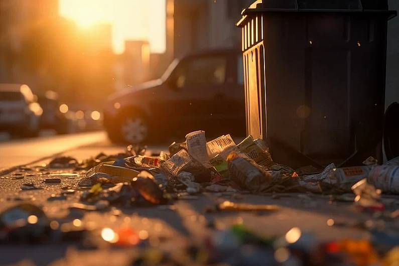 Over 400 litter complaints made to Kerry County Council in first eight months of 2024