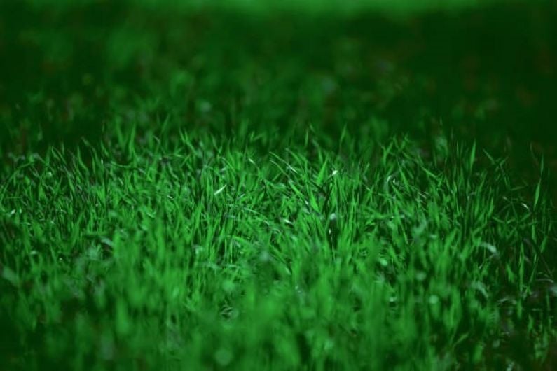 Grass growth in Kerry highest in Munster and above national average