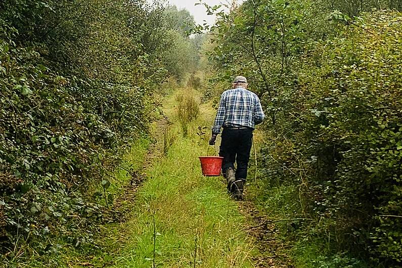 Double win for Kerry in national hedgerow competition