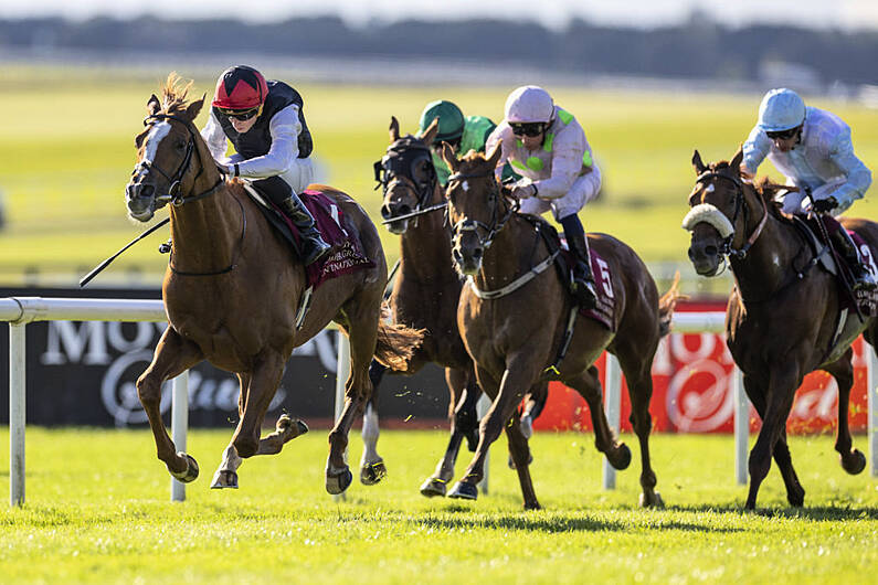 Tralee Owned Horse Wins At Cheltenham