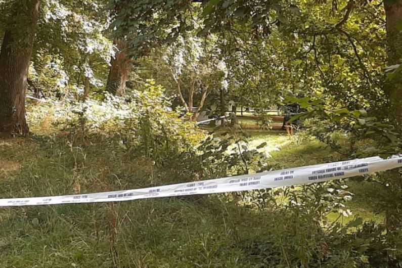 Tralee Garda&iacute; investigate alleged assault in town park