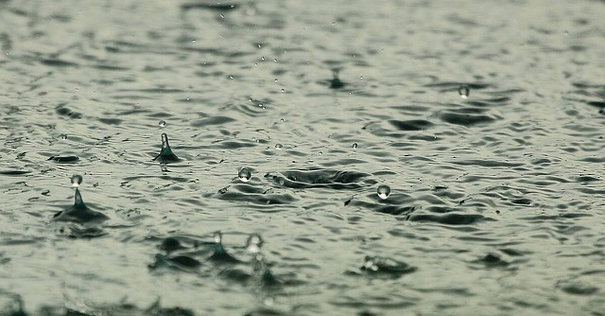 Kerry weather expert predicts worst of rain and wind to be gone by morning - Vimarsana News