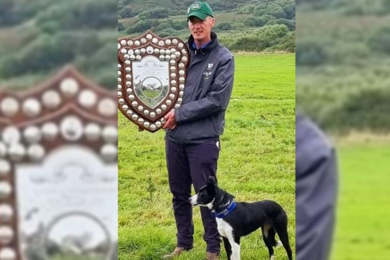 Kerry farmer and his dog claim coveted international sheepdog title