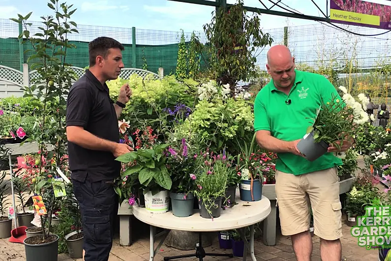 Kerry Garden Show | Episode 22