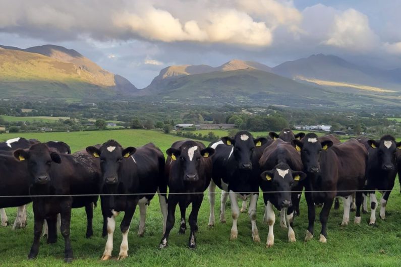 Kerry outlines plans for milk contract talks