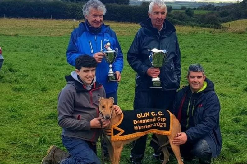 Bexhill Flare takes Glin coursing feature