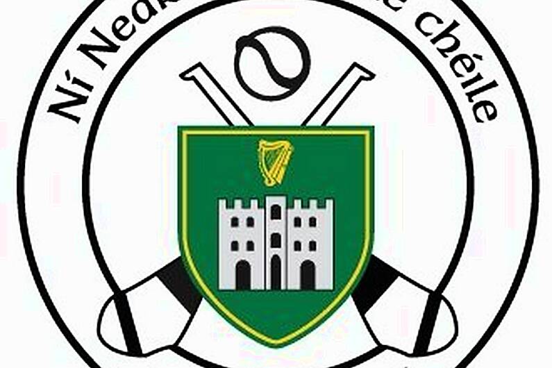 Tralee Parnells Hurling and Camogie Club weekly notes
