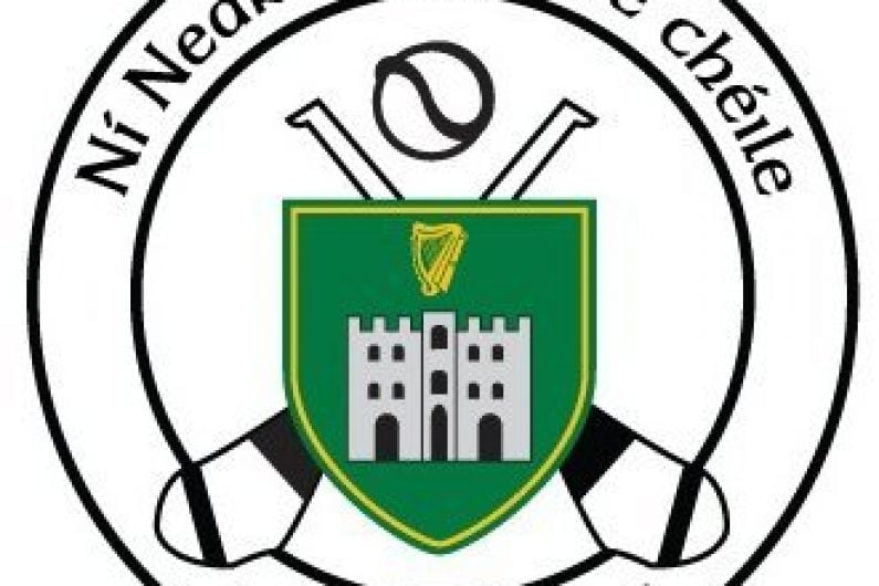 Tralee Parnells Hurling and Camogie Club weekly notes