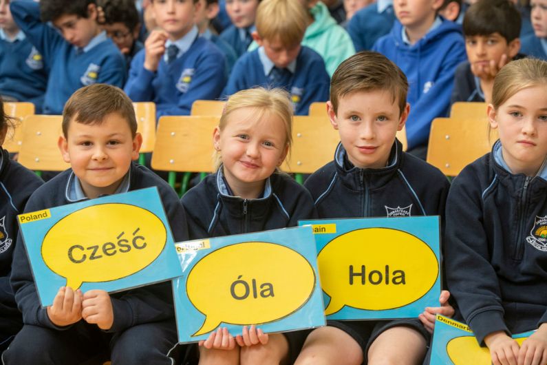 Call on Kerry primary&nbsp;schools to register for EU Blue Star Programme