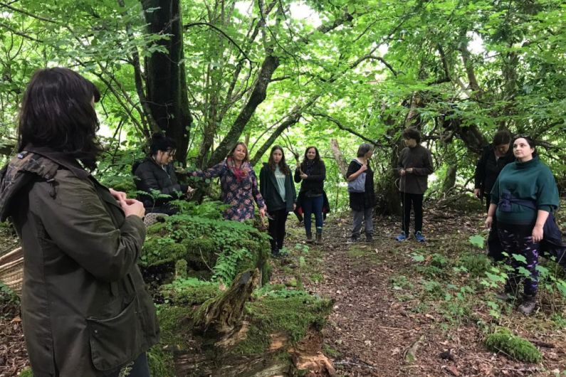 Forest therapy business launched in Kerry