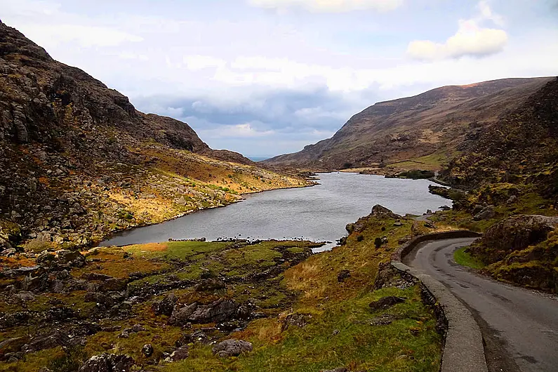 Council asked to review location of signs warning of ticks in Killarney National Park