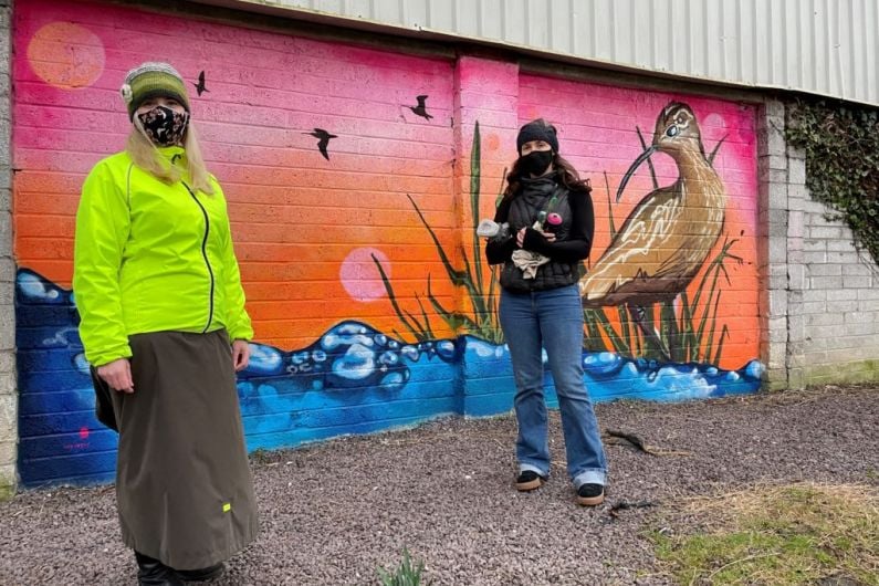 Mural of curlew on Tralee-Fenit Greenway