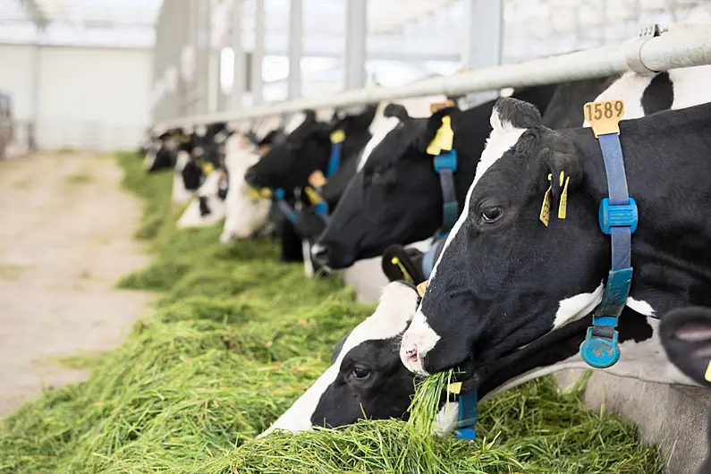 Over €14 million paid to Kerry farmers on GLAS scheme