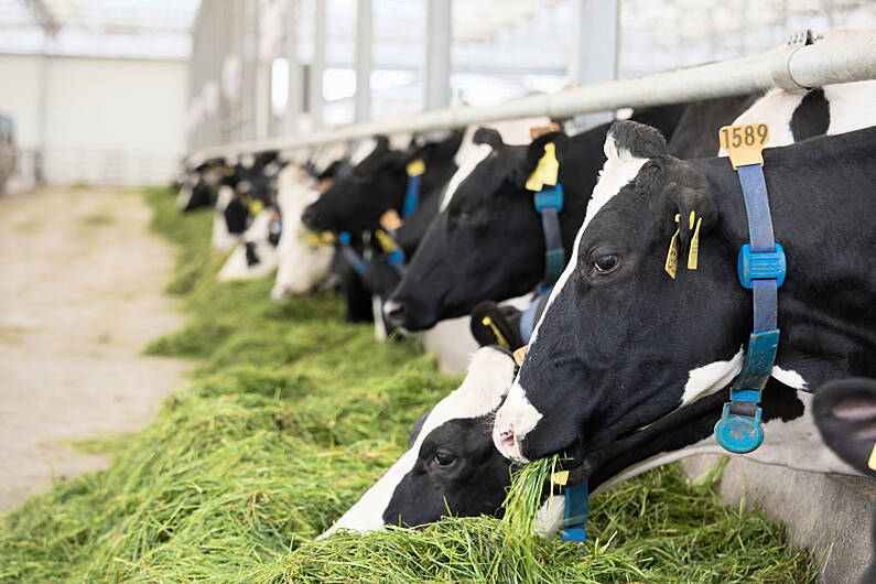 Over €8.8 million to be paid to farmers in Kerry under GLAS scheme