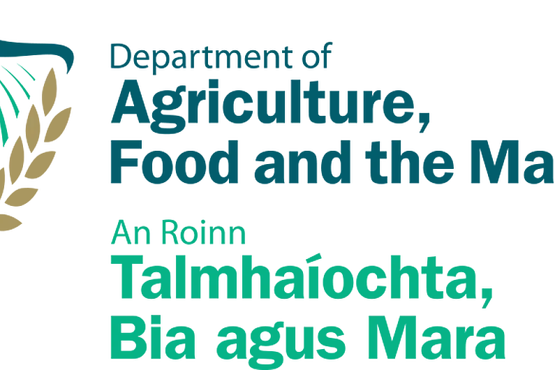 Over 400 forestry licence applications awaiting decision in Kerry