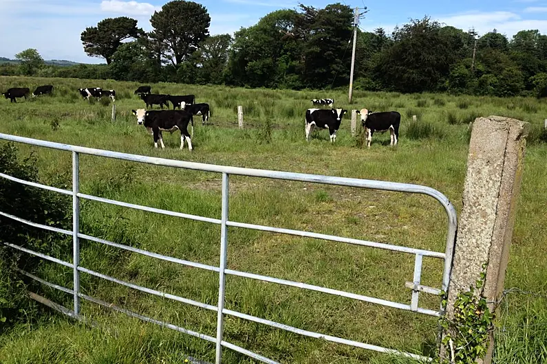 Kerry and Cork have highest number of female farmers