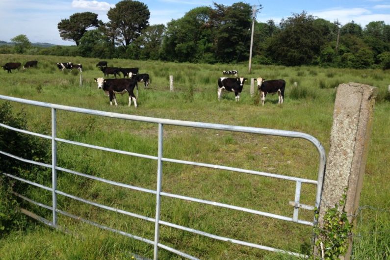 Farmland prices in Kerry decreased last year