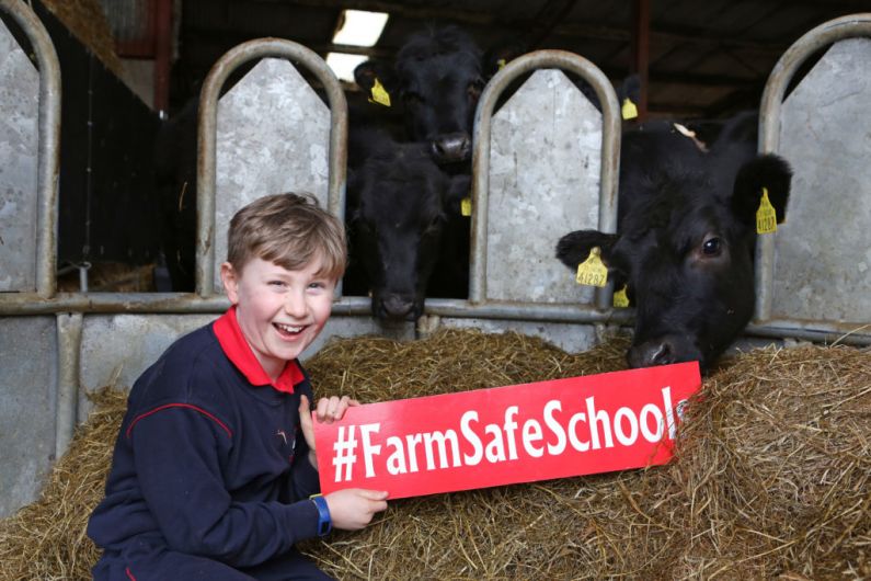 Kerry schools urged to sign up to farm safety pilot for children