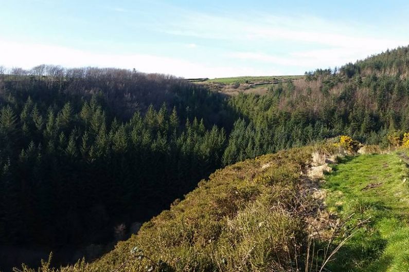 Coillte committed to future of Glanageenty