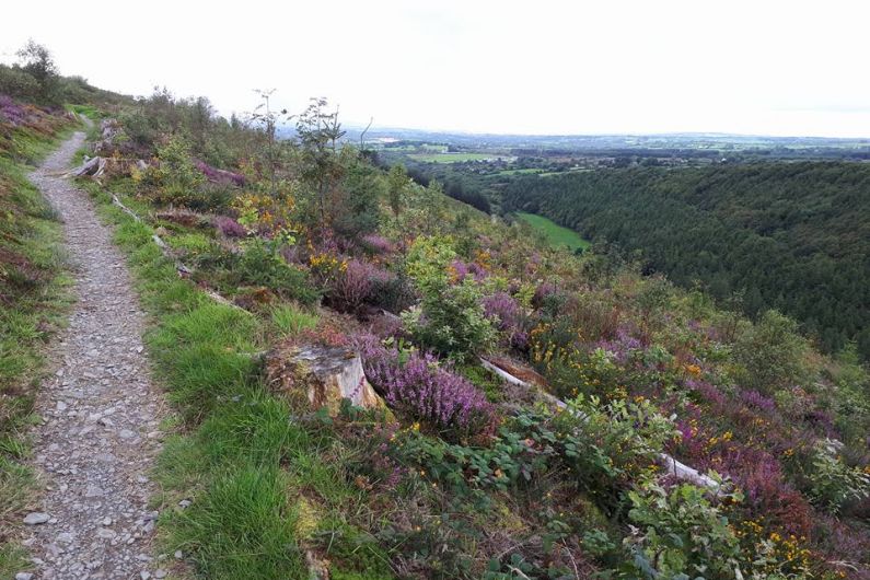 Petition of support for Glanageenty Forest Walk signed by over 1,400 people