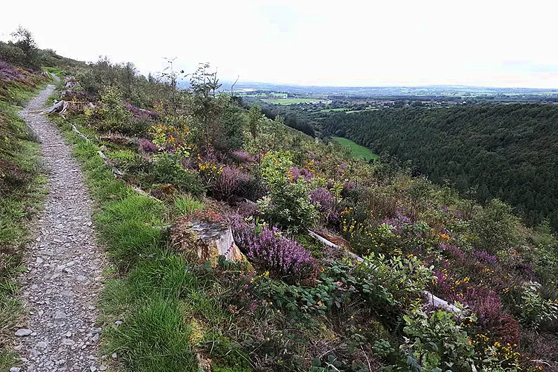 Three Kerry walking trails to benefit from €30,000 government funding