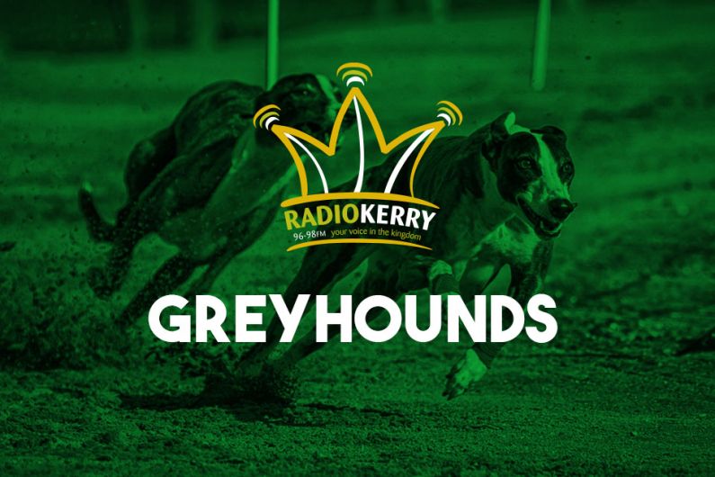 Four Kerry-Owned Greyhounds Are Saturday Night Winners