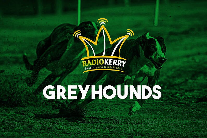 Greyhound racing could be banned in New Zealand