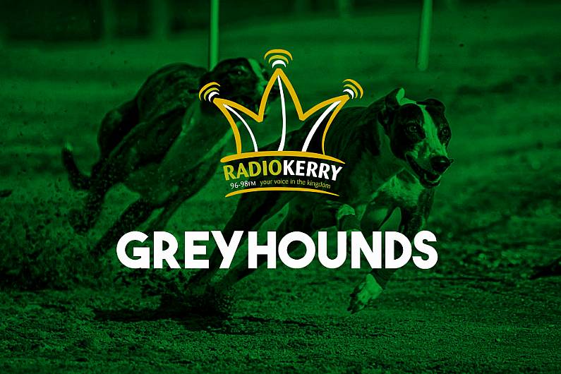 Greyhound Results Tuesday Night