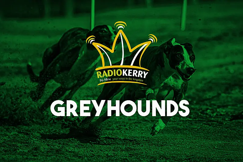 Open 600 Final Win For Kerry Dog Last Night In Shelbourne Park