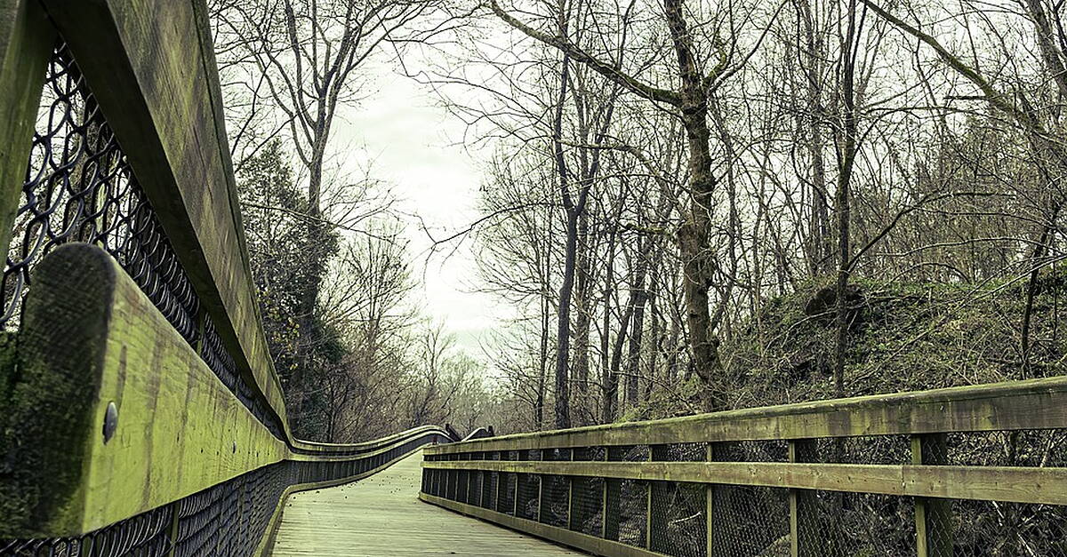 Greenway between Tralee town and Ballyseedy won't open next year - Vimarsana News