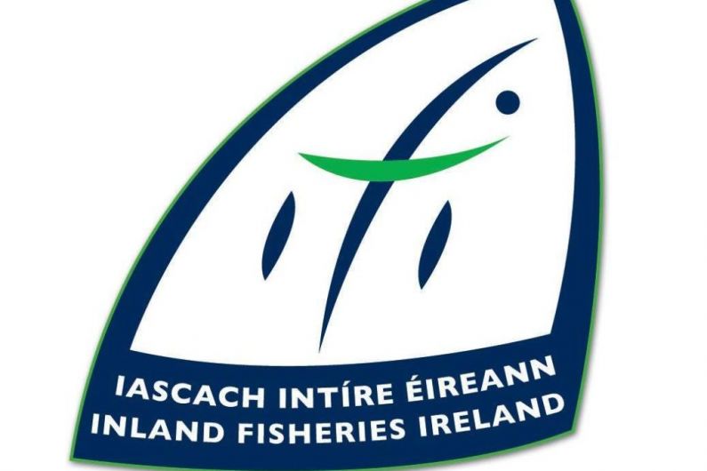 Inland Fisheries Ireland closely monitoring site of North Kerry landslide