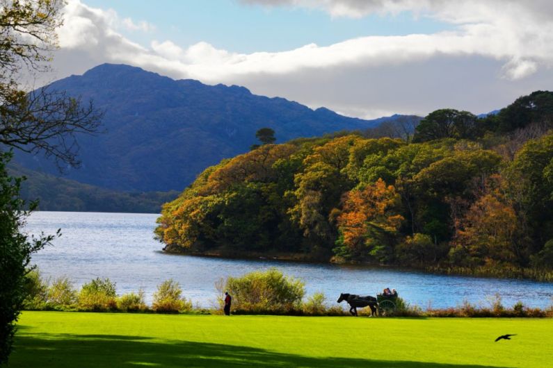 Minister confirms wedding photographs can be taken in Killarney National Park