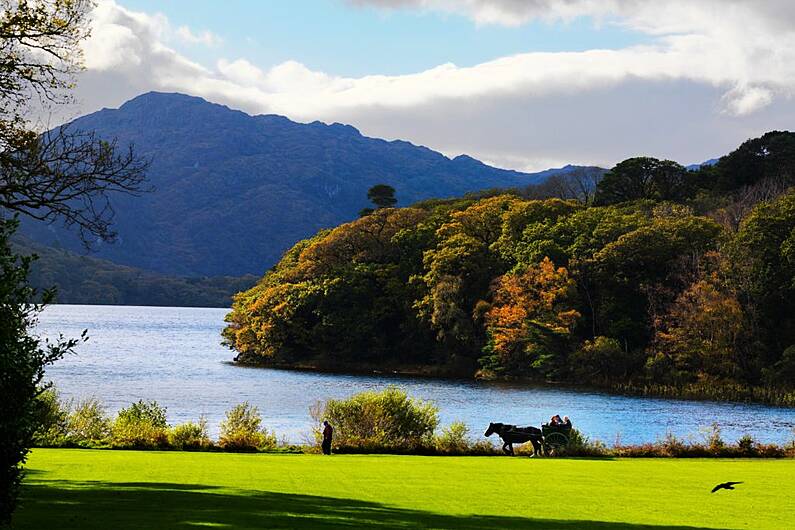 Claims wedding photographs no longer allowed to be taken in Killarney National Park