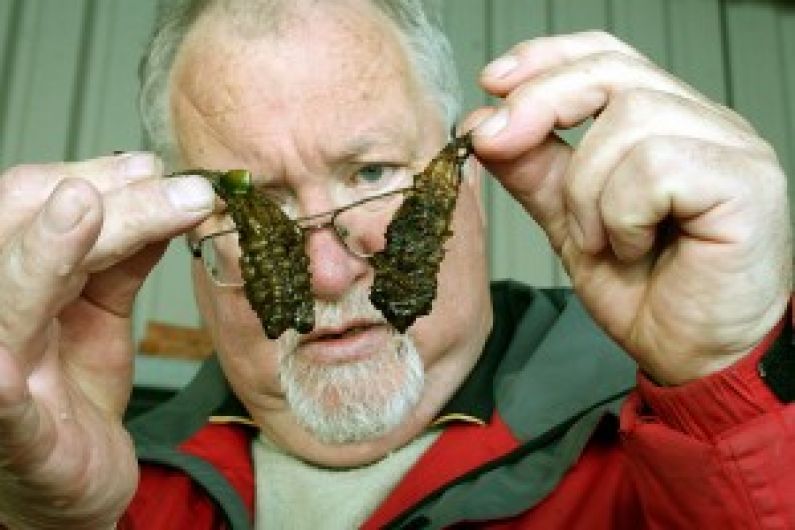 Kerry fishermen to benefit from huge numbers of sardines and anchovies off coast