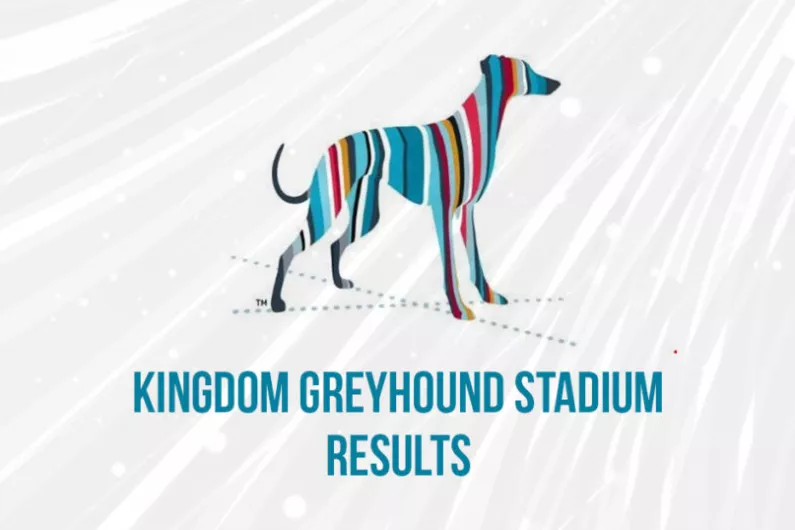 Kingdom Greyhound Stadium Saturday night review