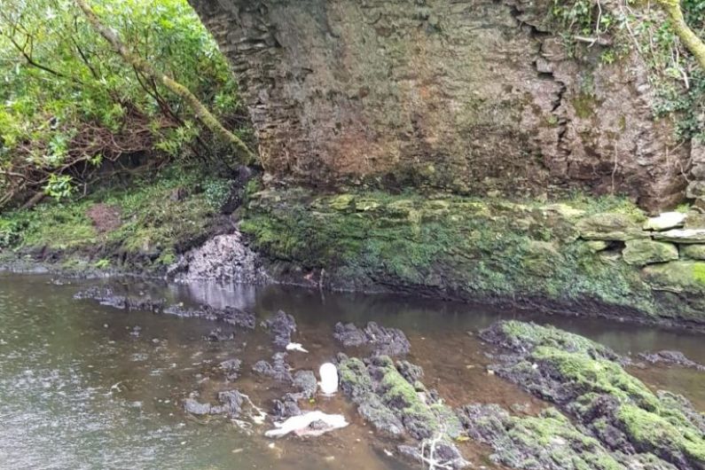 Department of Agriculture notified after remains of lambs dumped in south Kerry river