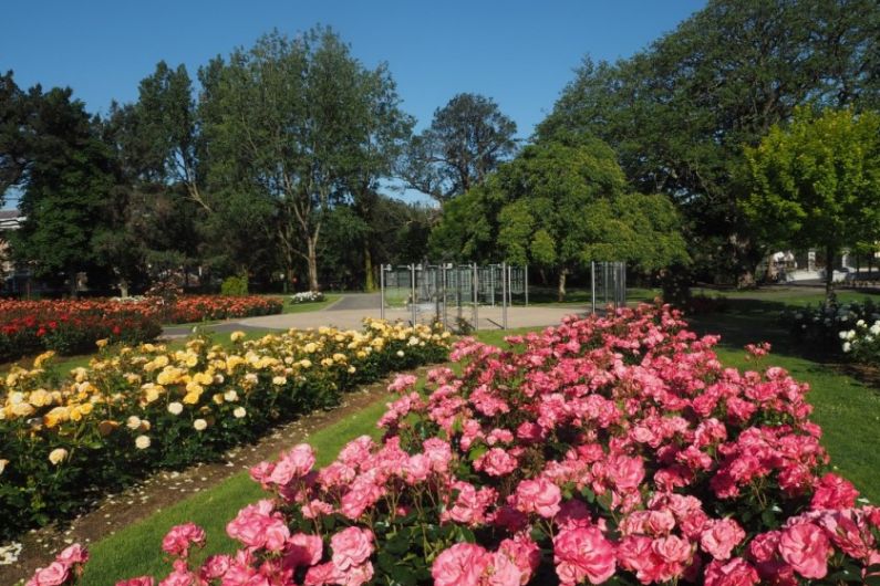 Kerry County Council to install new seating in Tralee Town Park