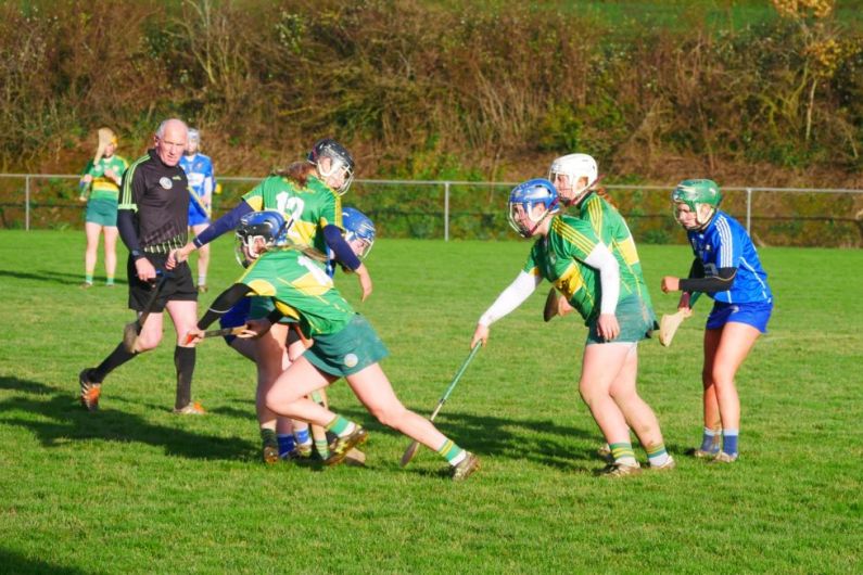 Kerry Beaten By Laois In Camogie Quarter Final