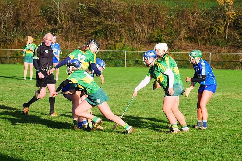 Kerry Beaten By Laois In Camogie Quarter Final