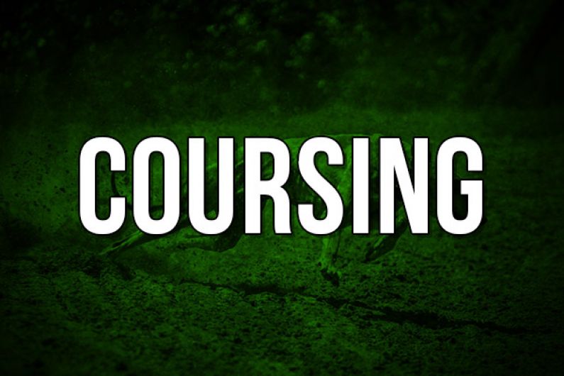 Semi-final pairings confirmed at National Coursing Meeting