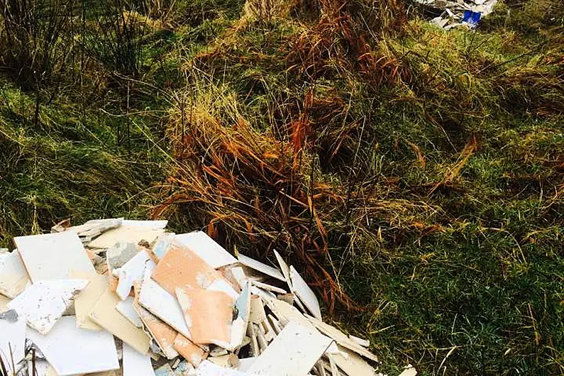 Calls for Kerry County Council to name and shame people found guilty of illegal dumping