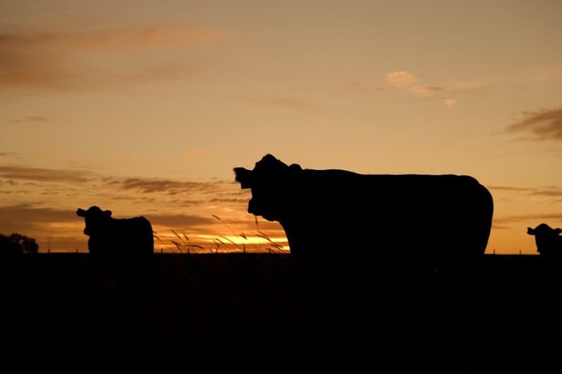 Farmers warned of increased risk of skin cancer due to UV sunlight