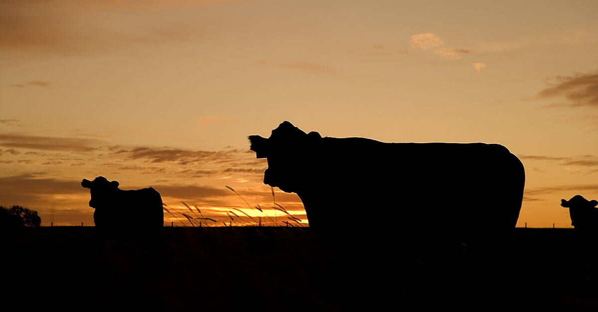 Kerry farmer says delay to payments isn't fair or right - Vimarsana News