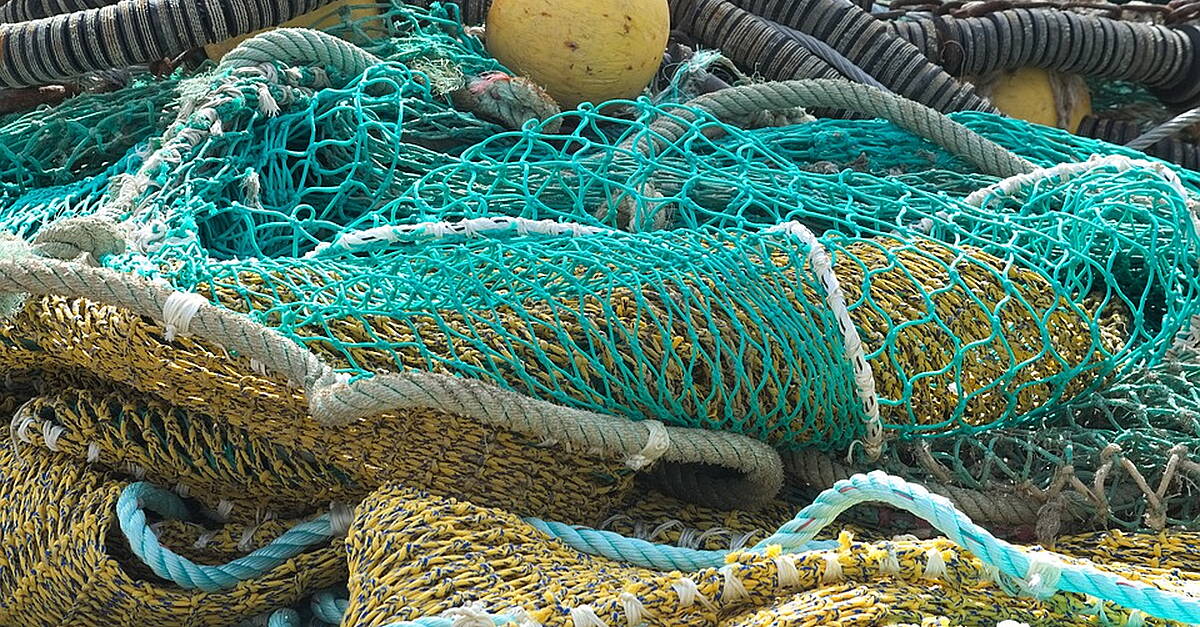 Kerry Greens say court decision to overturn inshore trawling ban will damage coastal communities - Vimarsana News