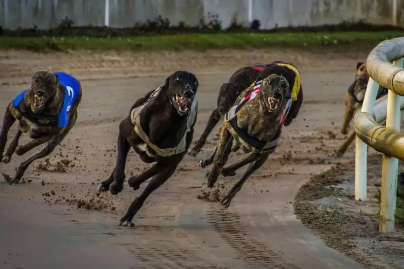 Tracing for every racing greyhound by year's end