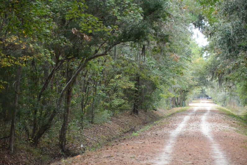 Council working on early stages of Tralee to Listowel Greenway