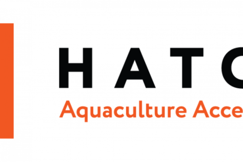 International aquaculture accelerator to run workshop in Killorglin&rsquo;s RDI Hub