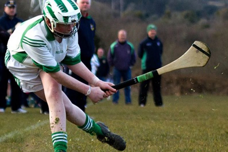 Tralee Parnells Reveal Hurling Coach For 2021