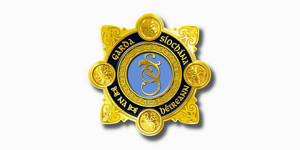 Garda allegedly assaulted in F...