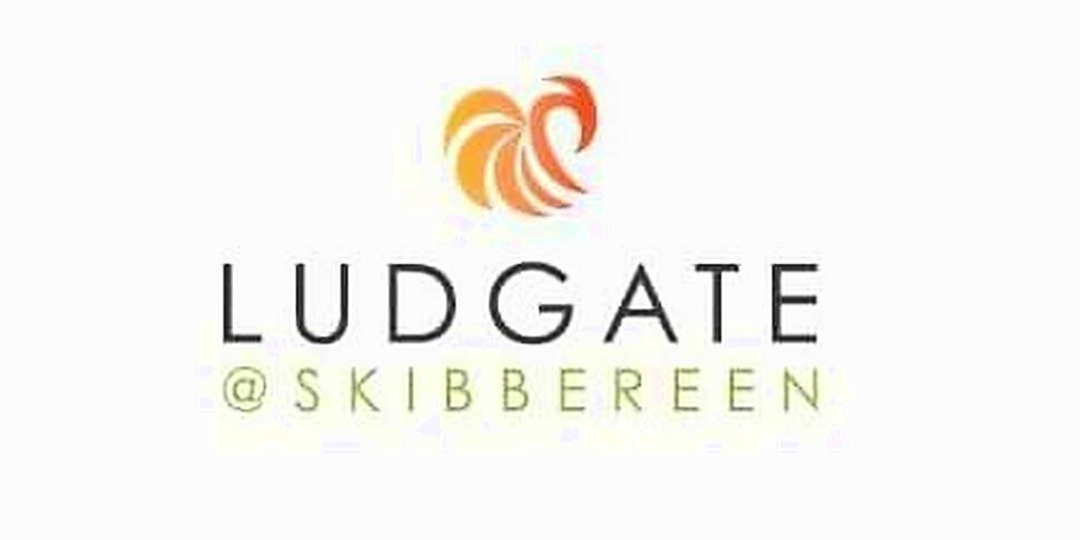 Skibbereen Based Ludgate Hub L...